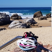 User avatar for Shannon Plooy