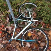 User avatar for Claudio Stellari