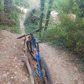 User avatar for dario venagli