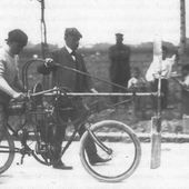 User avatar for Alice Pistocchi