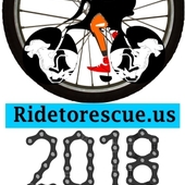 User avatar for Gaynor Aarabi