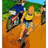 User avatar for Steve Robinson