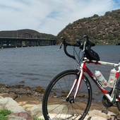 User avatar for Shane Williams