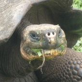 User avatar for Richard Bolton