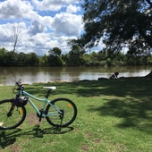 User avatar for Tenille Lawrence