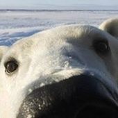 User avatar for David Tang