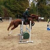 User avatar for Dina Dijanović