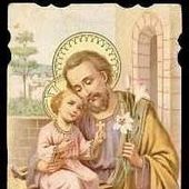 User avatar for Stefano Ravizza