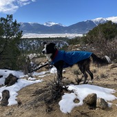 User avatar for Chelsea Garner