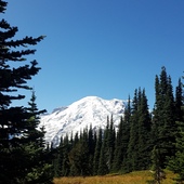 User avatar for Cami Palacio