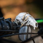 User avatar for Jarka Chalasova