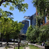 User avatar for Justė Stonienė