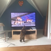 User avatar for Olivia  King