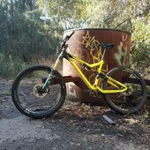 User avatar for Mike Moginie