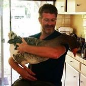 User avatar for David Mac Kenzie