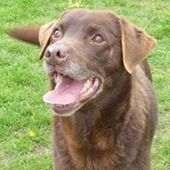 User avatar for Carol Patrick