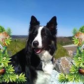 User avatar for Jacky Watson