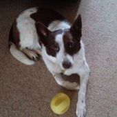 User avatar for Brenda Macdonald