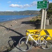 User avatar for Alice Liddell