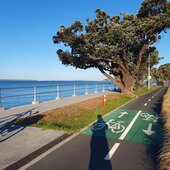 User avatar for Jonathan Shamrock