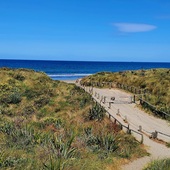 User avatar for Brian  Appleton