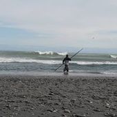 User avatar for Phil Black