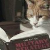 User avatar for Chris Smith