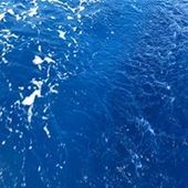 User avatar for Ailie Rundle