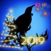 User avatar for Jo D