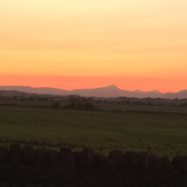 User avatar for Cameron Hogg