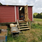 User avatar for Steven Fitz Patrick