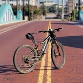 User avatar for Matthew Tyler