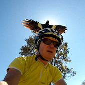 User avatar for Gordon Garradd