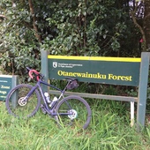 User avatar for Allister Holmes