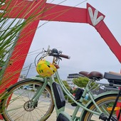 User avatar for Karen Schwoerer