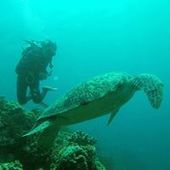 User avatar for Alex Mejia