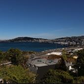 User avatar for Laurie Edwards