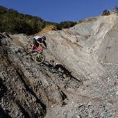 User avatar for Harry Chapman