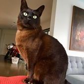 User avatar for Jane Parrett