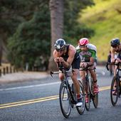 User avatar for Matthew Brown