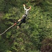 User avatar for Laura Dowers