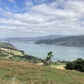 User avatar for Geoff Waide