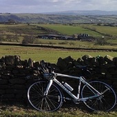 User avatar for Gill Kelly