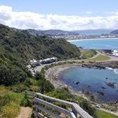 User avatar for Megan Bell