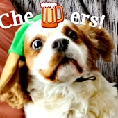 User avatar for Anni Brumby