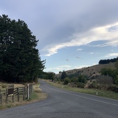 User avatar for Mikayla Vegar