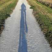 User avatar for Ross Pinkham