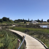 User avatar for John Rountree