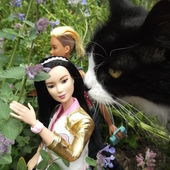 User avatar for Carla Morelli