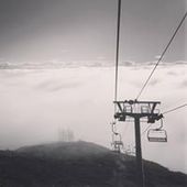 User avatar for Emily Sheldon